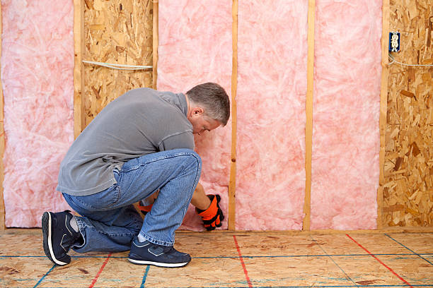 Best DIY Insulation Kits and Guidance in Eagleton Village, TN